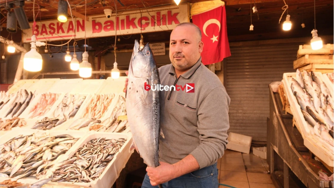 Mersin'de dev balık bin 500 liradan alıcı buldu