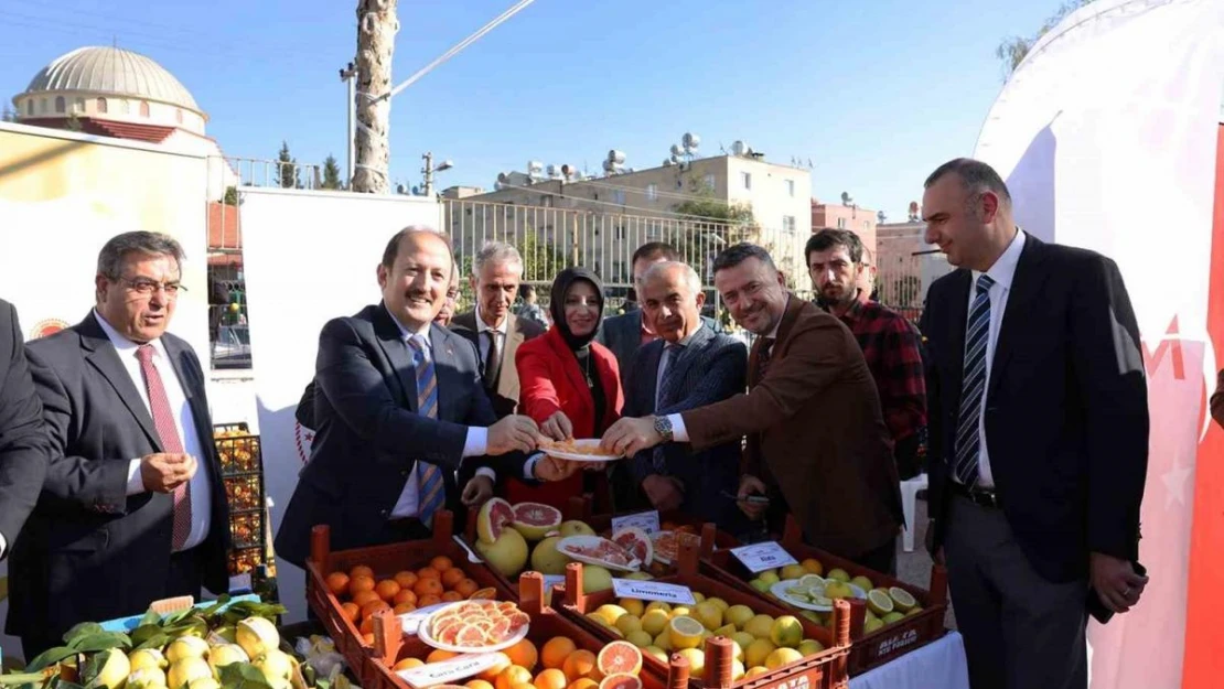 Mersin'de narenciye tüketim seferberliği