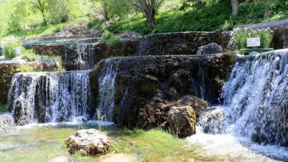 Mesire alanı görsel güzelliğiyle hayran bırakıyor