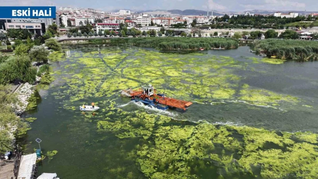 Mogan Gölü'nde başlatılan kapsamlı temizlik çalışmaları büyük oranda tamamlandı