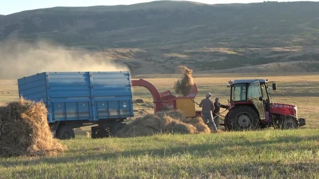 Muş Ovası'nda çiftçilerin kış mesaisi başladı