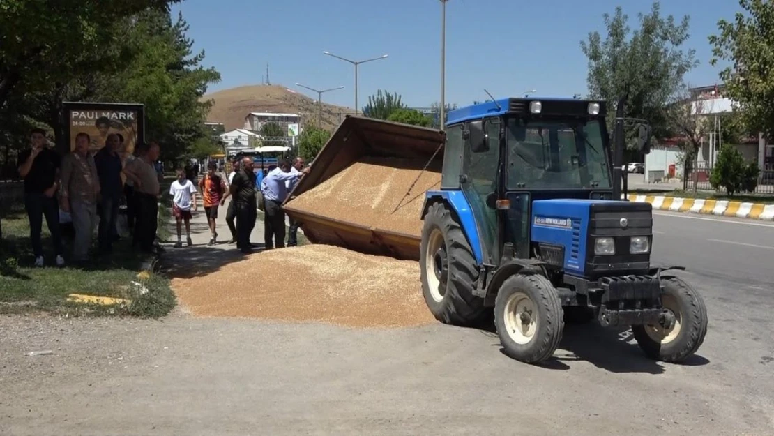 Muş'ta buğday yüklü römork devrildi