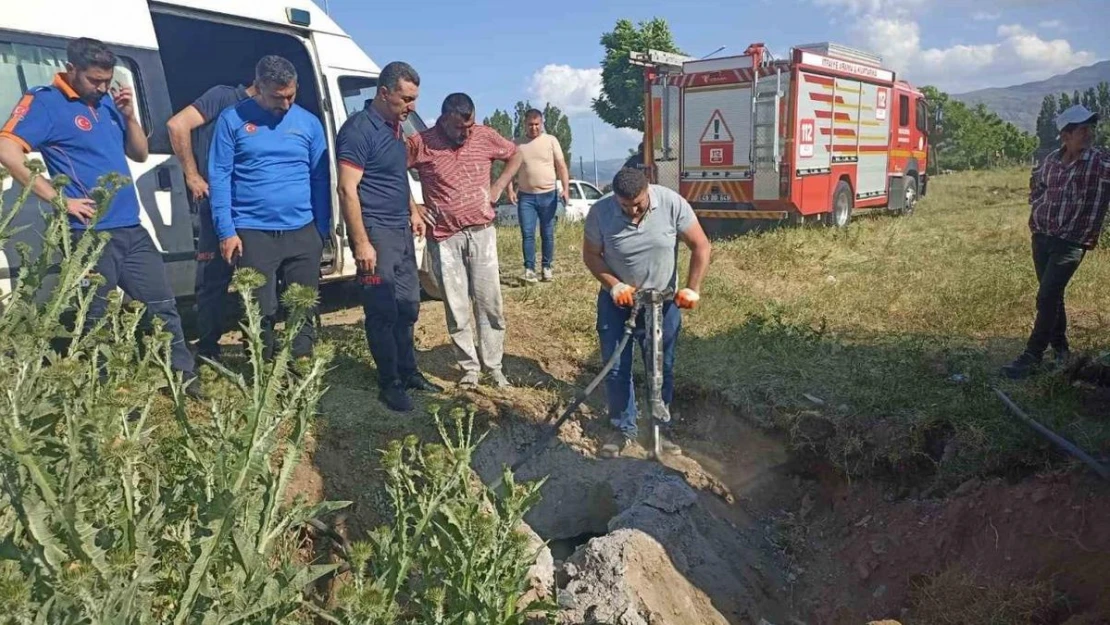 Muş'ta kapağı çalınan menhole düşen inek 2 saatlik çalışma sonucu kurtarıldı