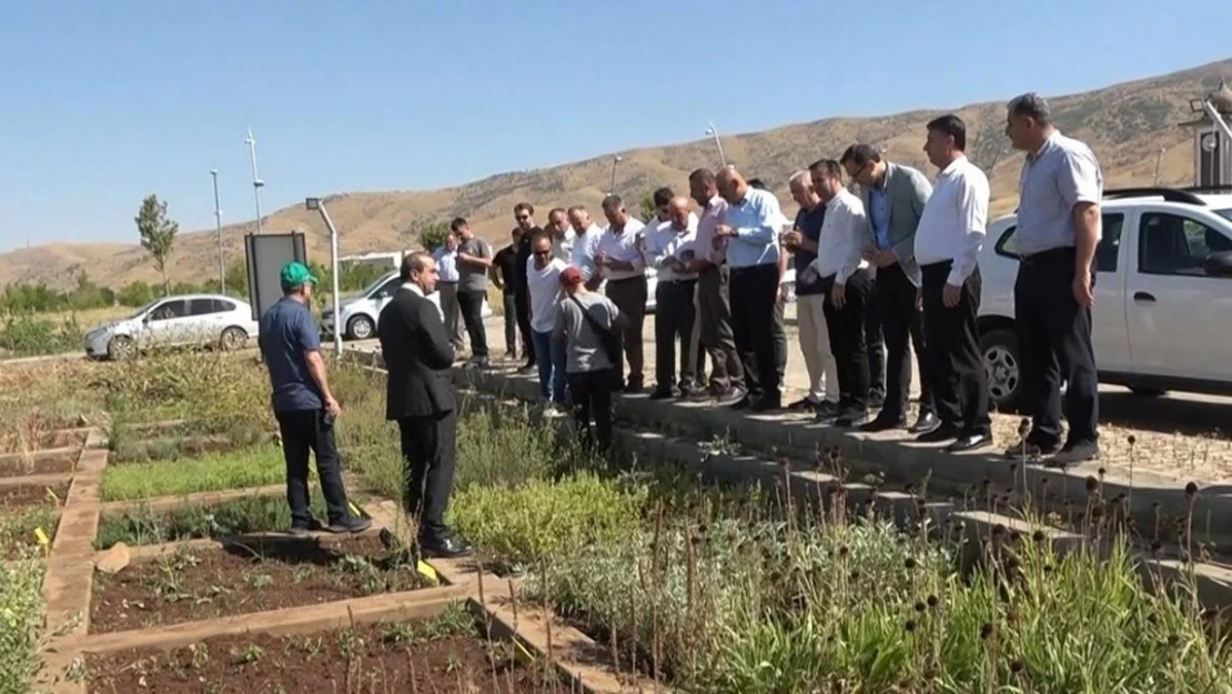 Muş'ta tıbbi ve aromatik bitkiler tanıtıldı