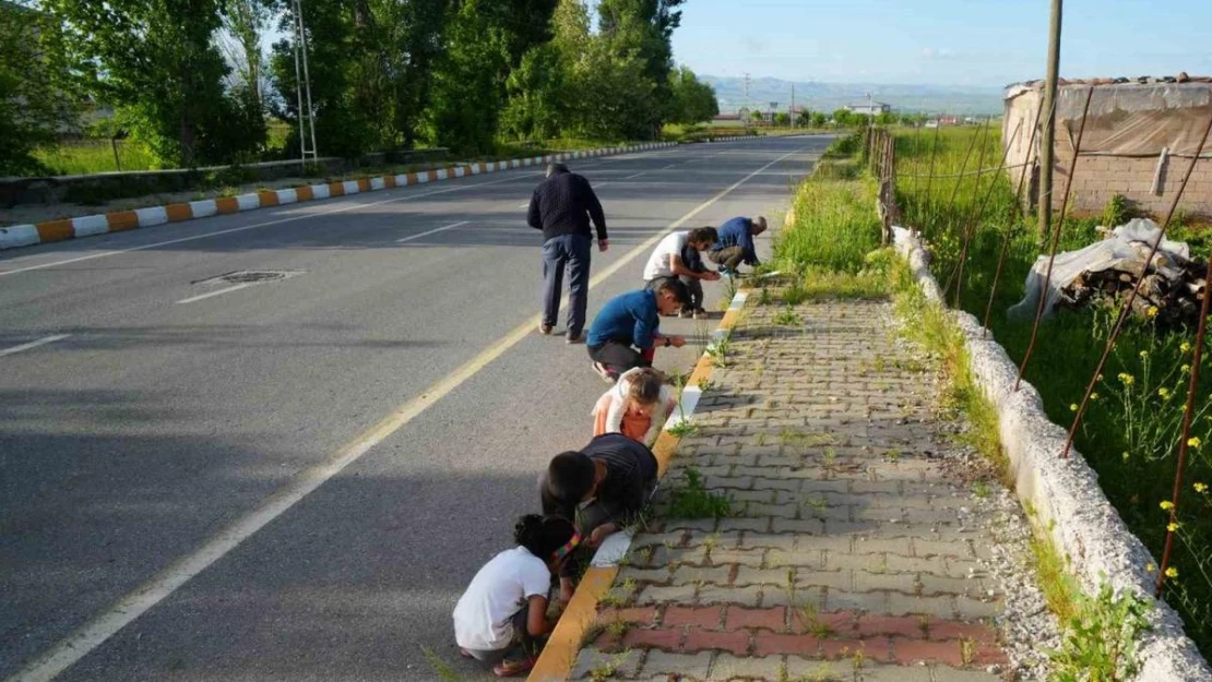 Muş'ta yağan bilinmeyen cisimler şaşırttı