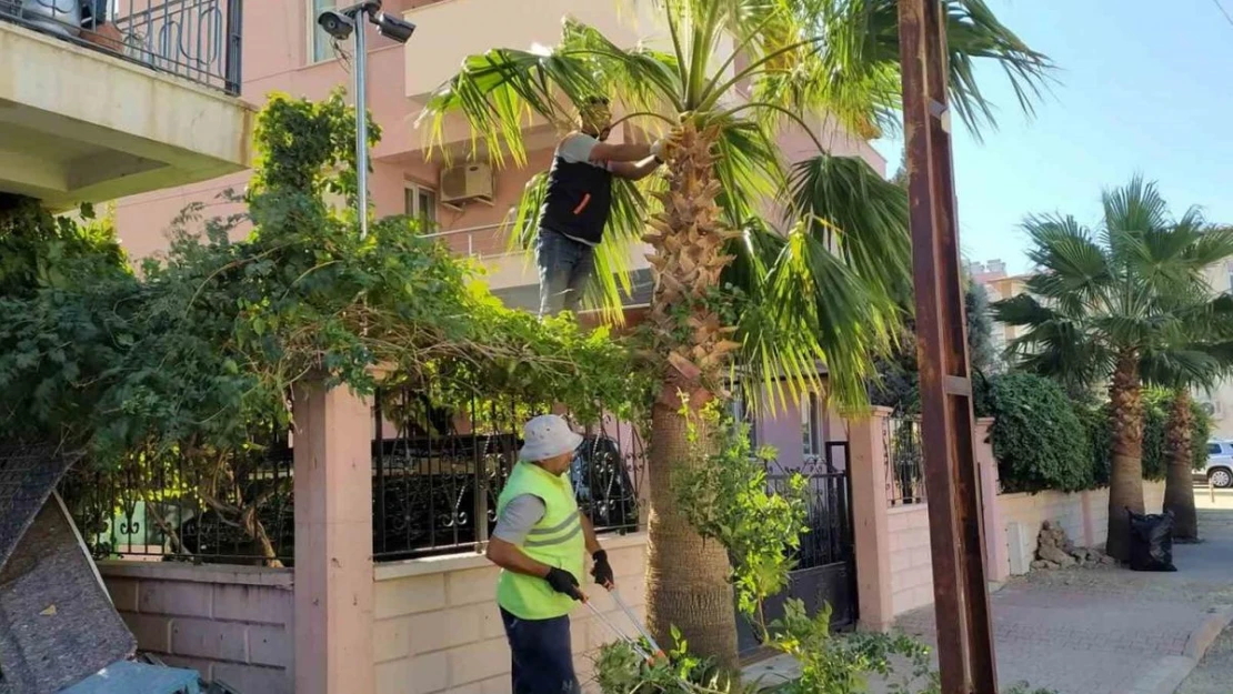 Mut'ta park ve bahçelerin kışlık bakımı devam ediyor