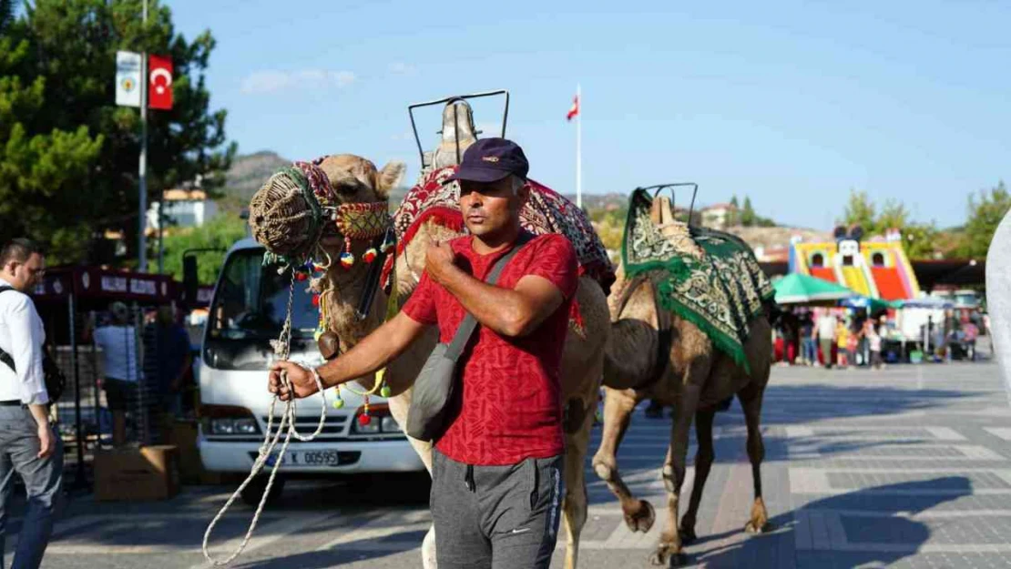 Nallıhan'da festival coşkusu