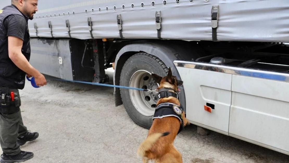 Narkotik köpeği Kanas uyuşturucuya geçit vermedi