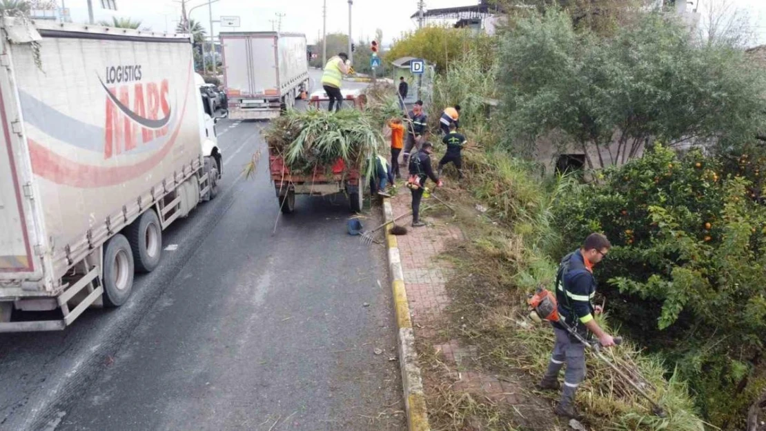 Nazilli'de temizlik ekipleri karayolu kenarlarını temizledi