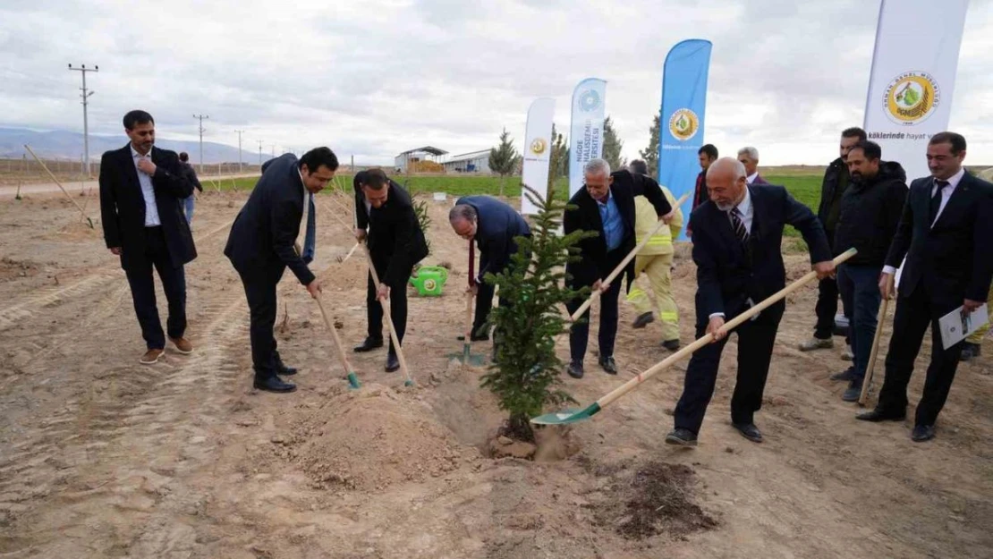 Niğde'de bal ormanı kuruldu