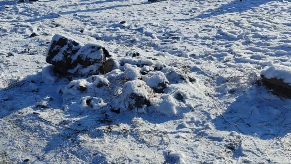 Niğde'de köpek dövüştüren 83 kişi suçüstü yakalandı