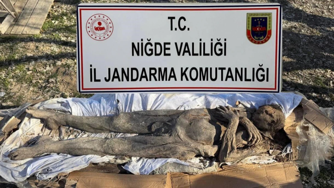 Niğde'de mumya operasyonu: 6 gözaltı