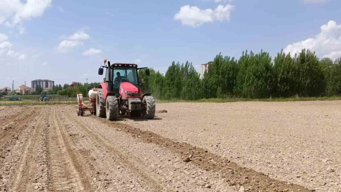 Niğde Patates Araştırma Enstitüsü'ne işçi alınacak