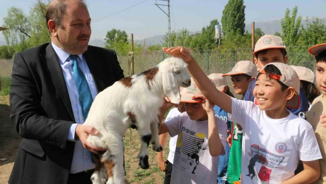 Öğrenciler e-Twinning kapsamında çiftlik gezdiler