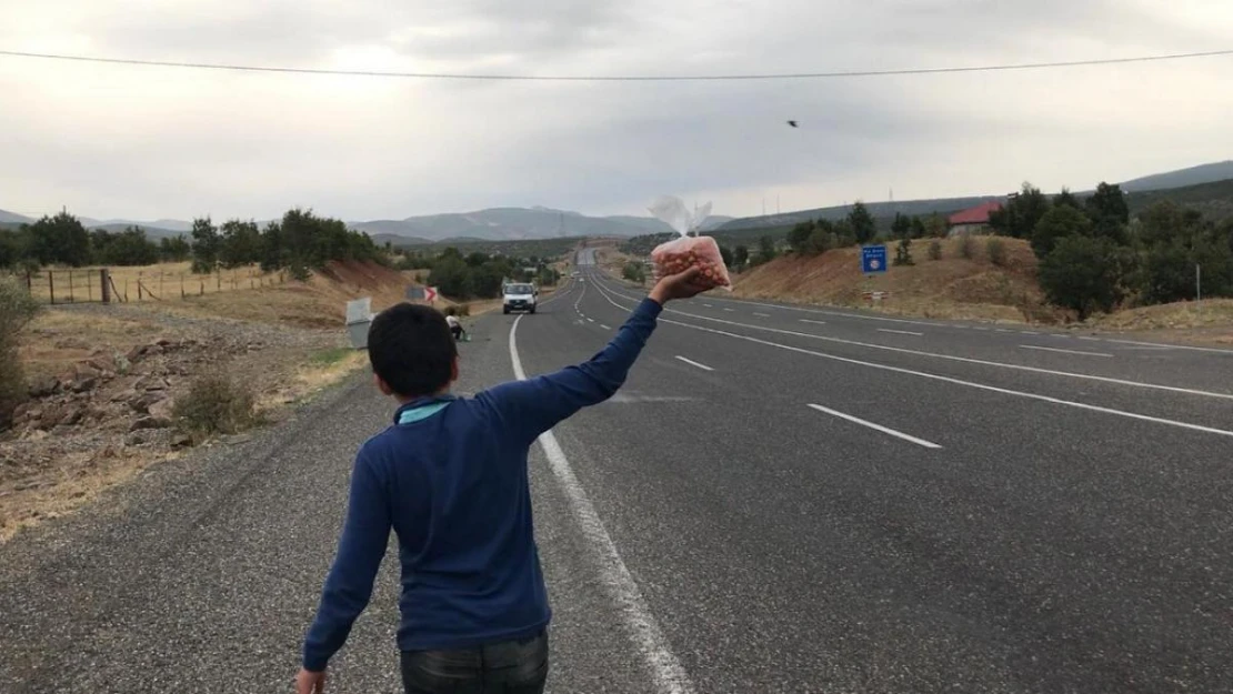 Okul harçlıklarını çıkarmak için yol kenarında 'alıç' satıyorlar