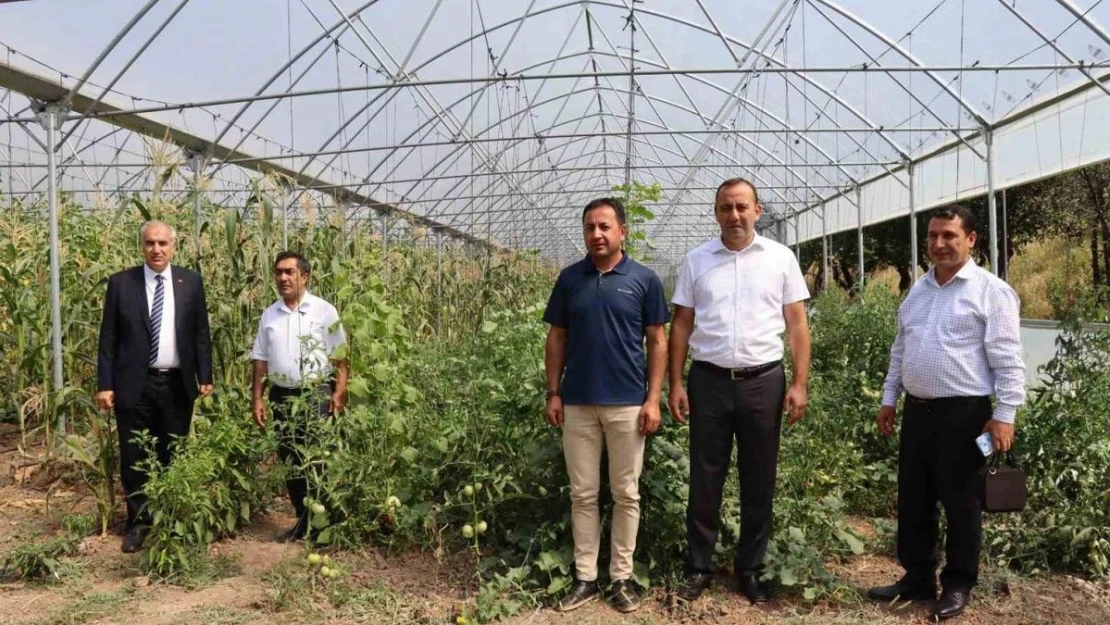 Oltu'da devlet destekli seralar çiftçilerin yüzünü güldürdü