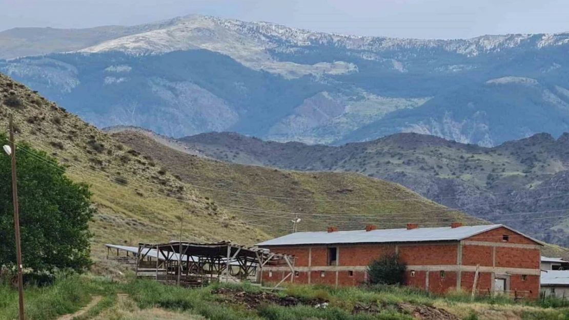 Oltu'da Kırdağı beyaza büründü