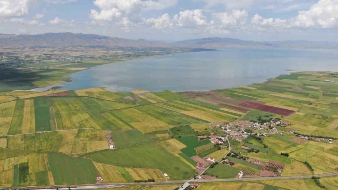 Önceden çölü andıran baraj sahası suyla doldu