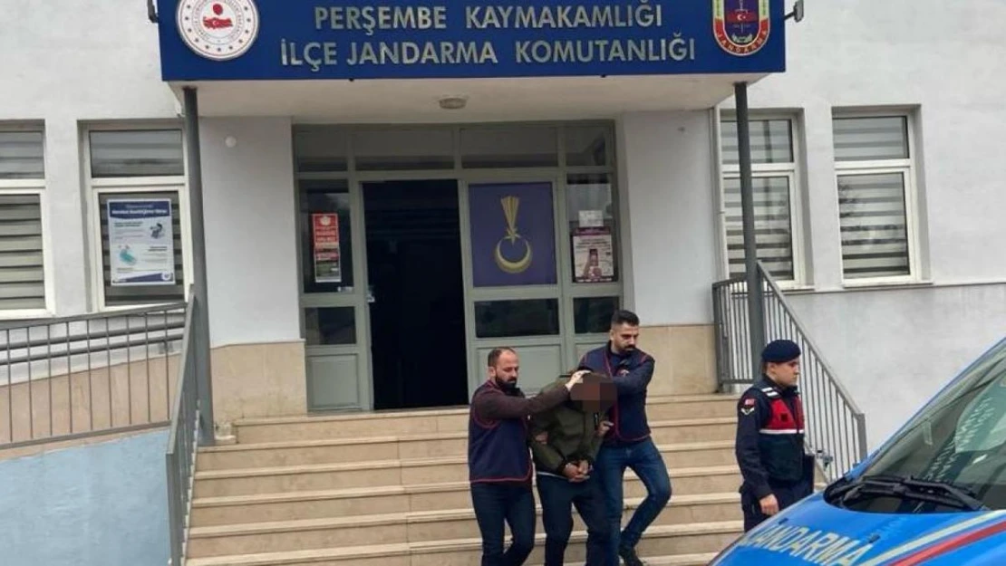 Ordu'da evden hırsızlık yapan şahıs tutuklandı