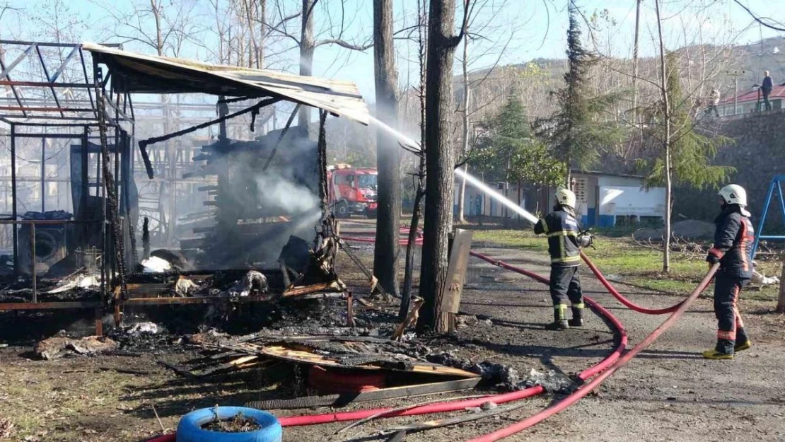 Ordu'da kamp alanında yangın: 10 yapı küle döndü, 3 çadır hasar gördü