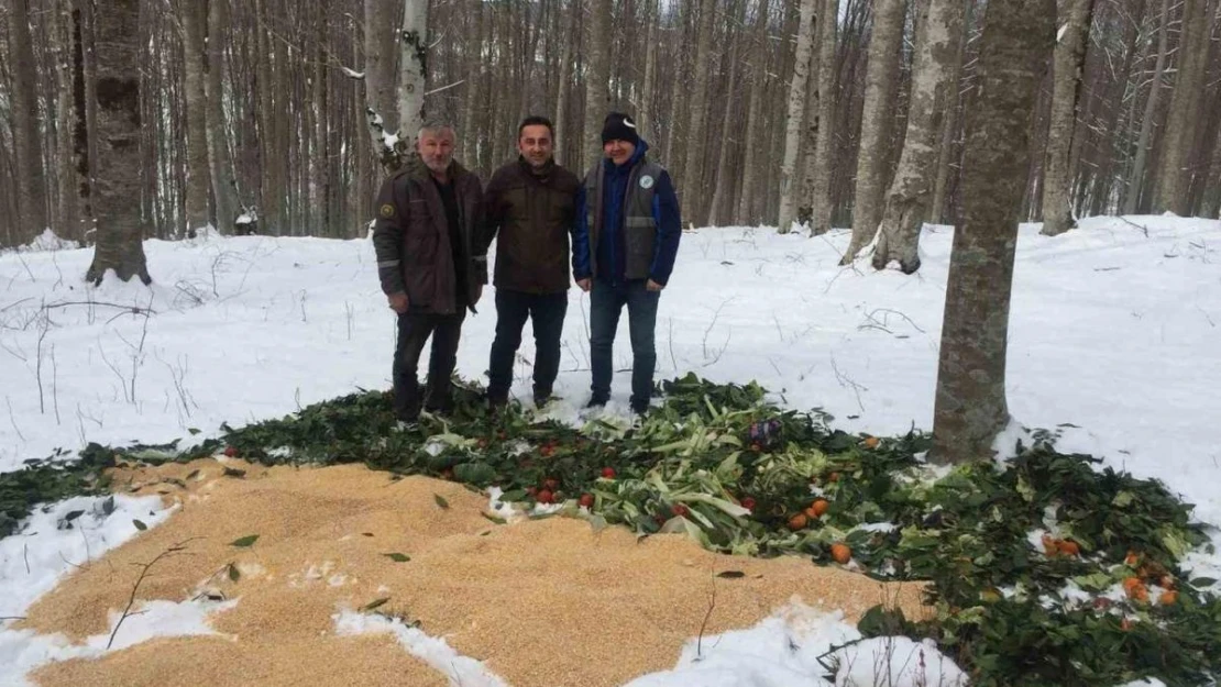 Ordu'da yaban hayvanları için doğaya yem bırakıldı