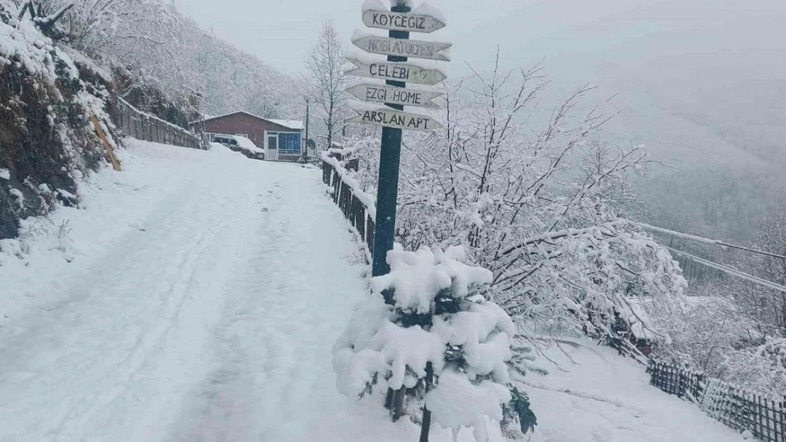 Ordu'nun yüksek kesimlerinde kar yağışı etkili oldu