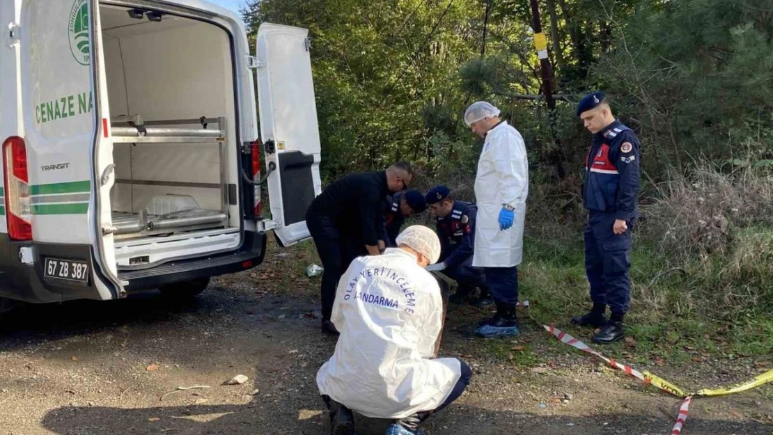 Ormanda bulunan cesedin ardından 6 şüpheli gözaltında