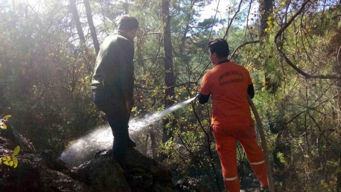 Ormanlık alanda çıkan yangın kontrol altına alındı