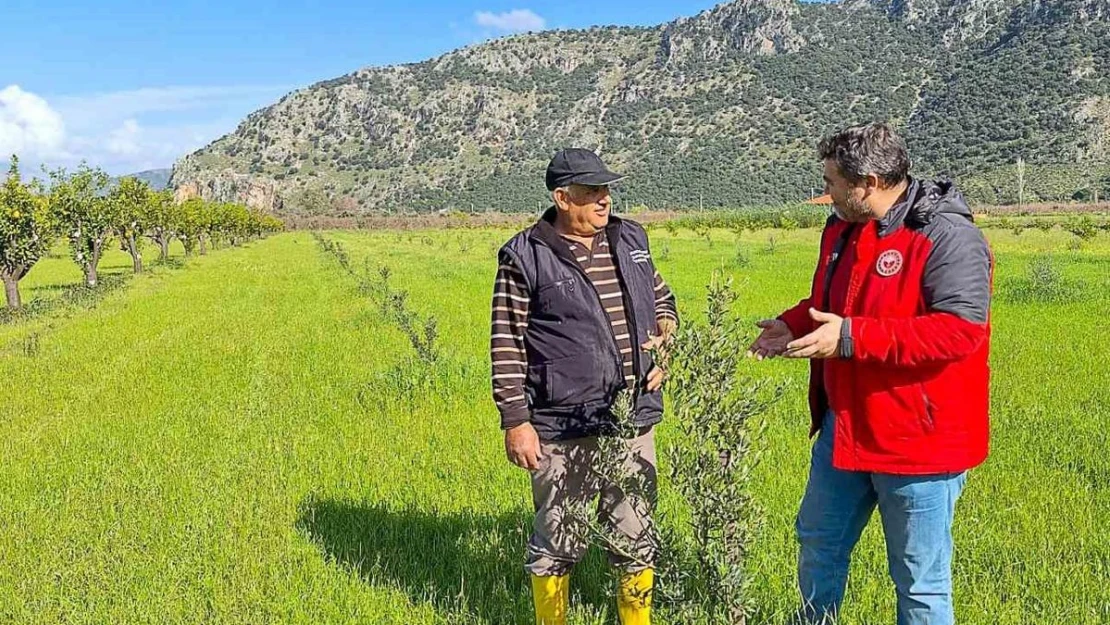 Ortaca Tarım Müdürlüğü üreticileri bilgilendirdi