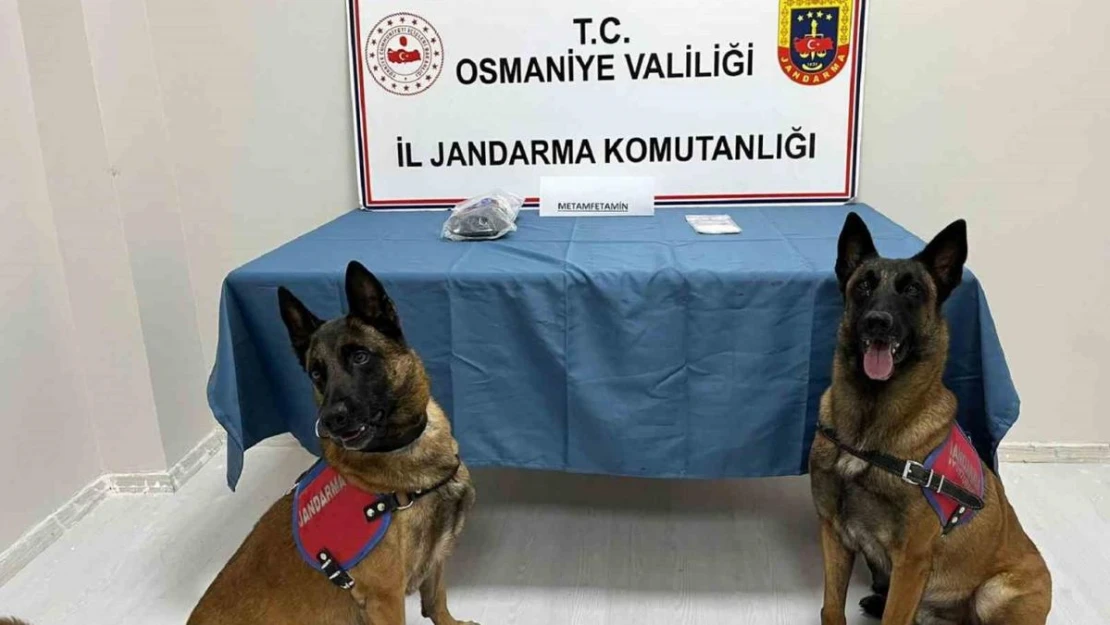 Osmaniye'de jandarmadan uyuşturucu operasyonu