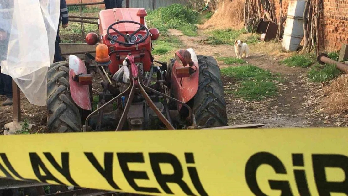 Paşa traktörün altında kalan sahibinin yanından ayrılmadı