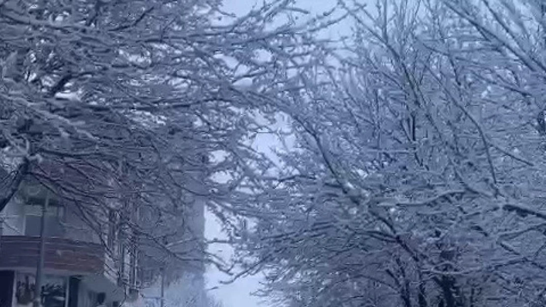 Patnos'ta köy yolları ulaşıma kapandı