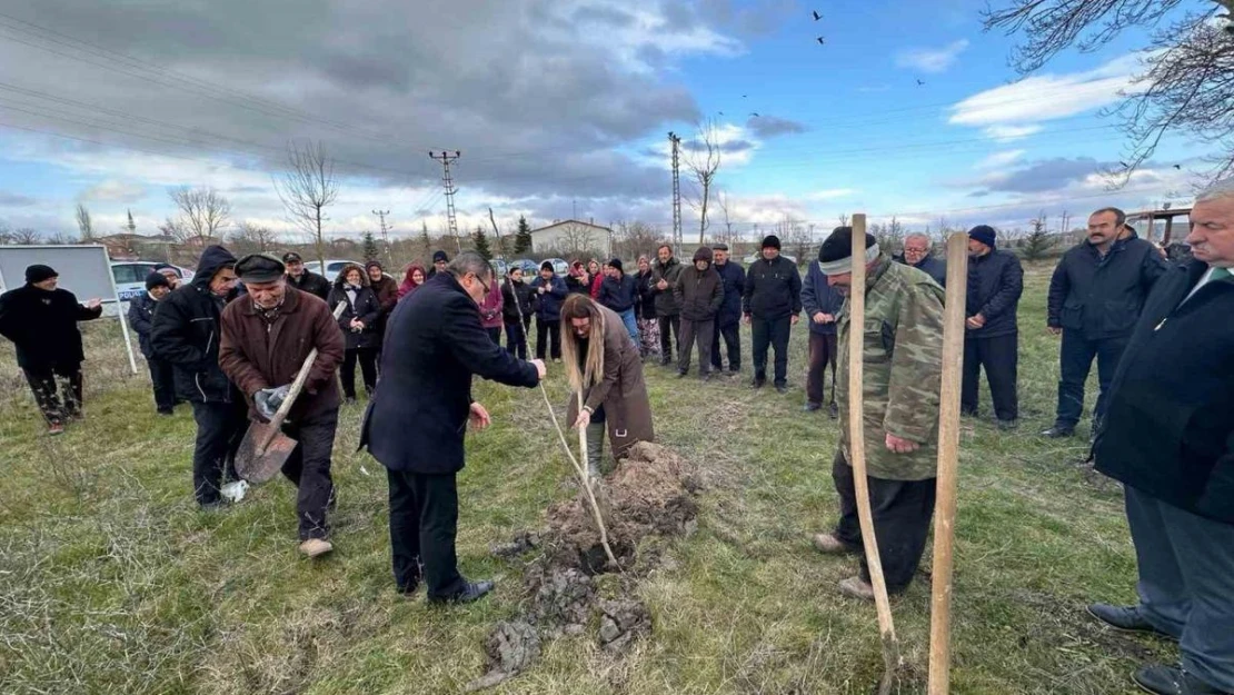 Pehlivanköy'de fidan dikim etkinliği