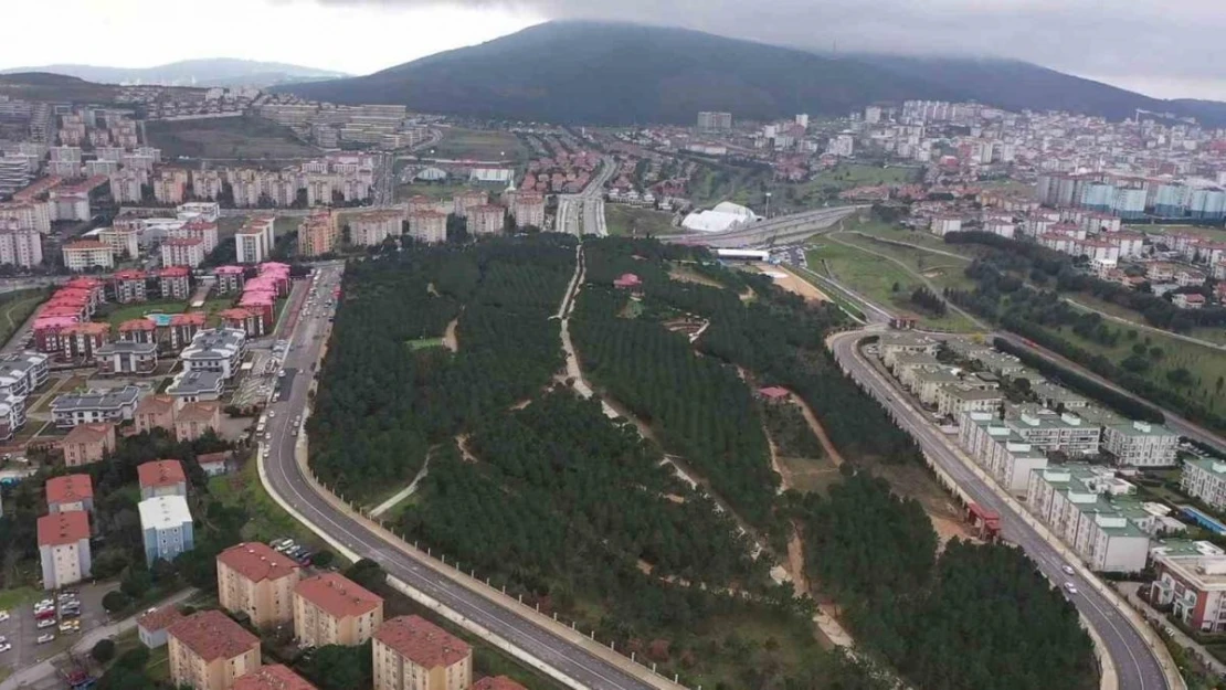 Pendik Korusu hizmete açıldı