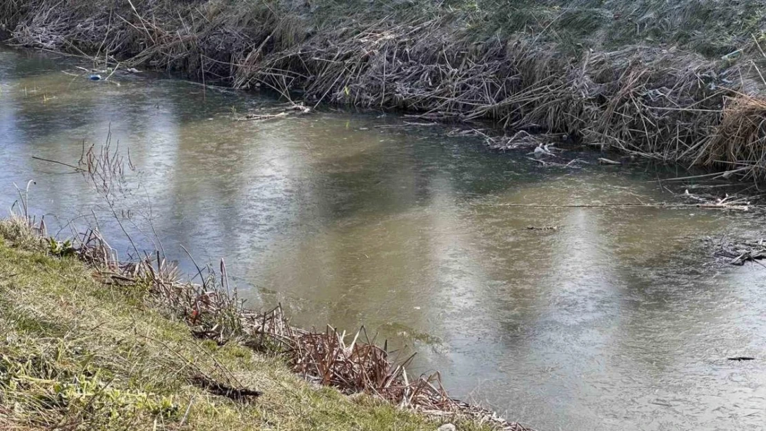 Porsuk Çayı buz tuttu