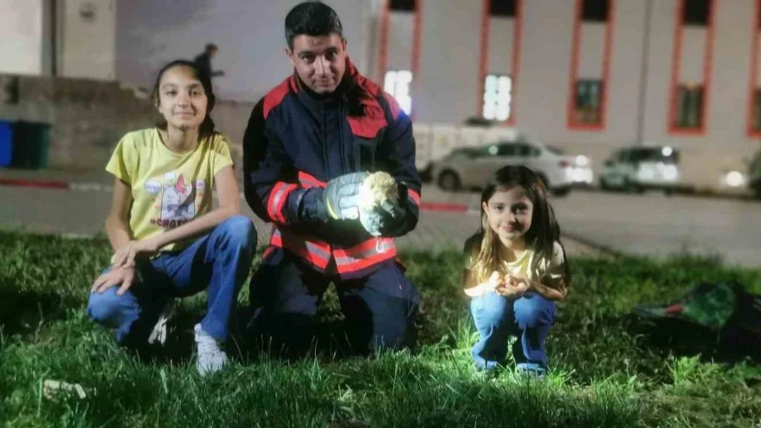 Rögar borusuna düşen kirpiler kurtarıldı