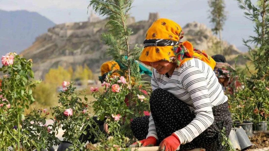 Sahil Yolu'nda peyzaj ve ağaçlandırma çalışmaları sürüyor