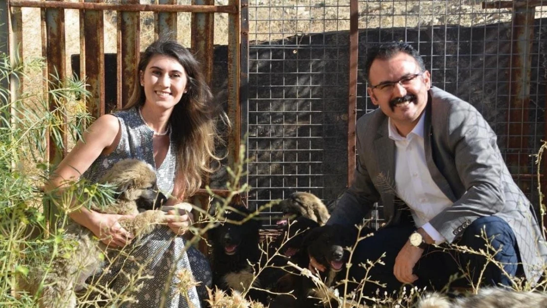 Sahipsiz yavru köpeklere kaymakam ve eşi sahip çıktı