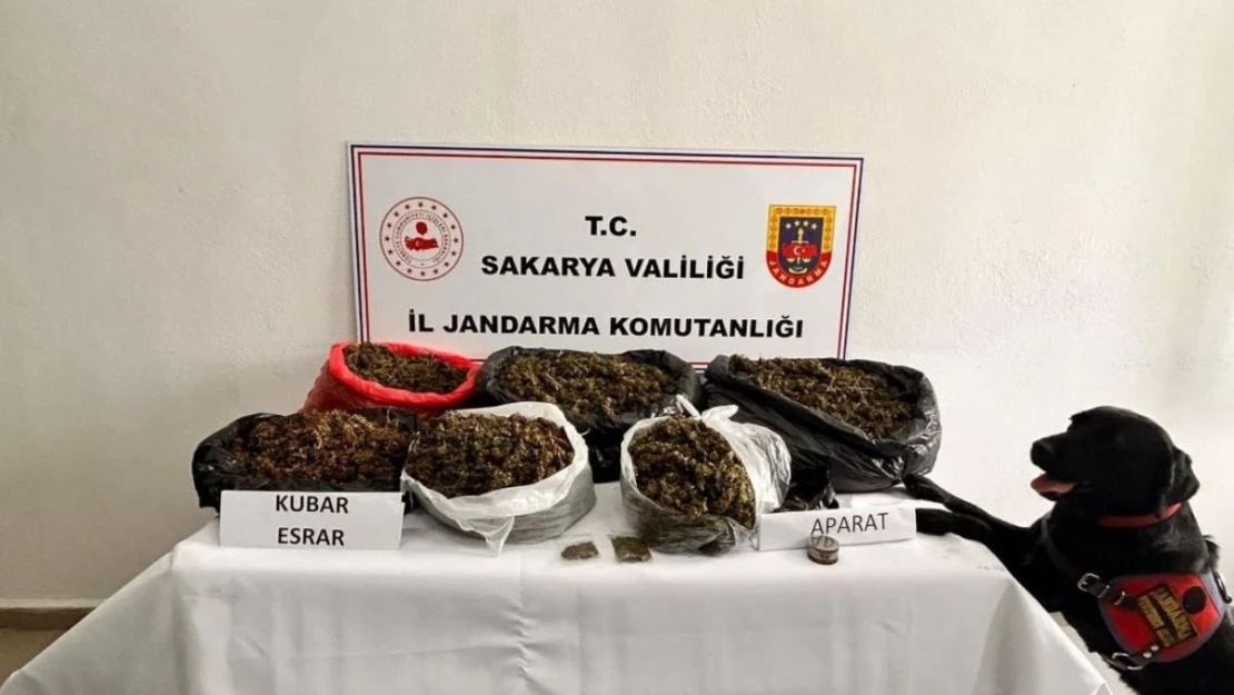 Sakarya'da 21 kilo esrar ele geçirildi: 1 tutuklama