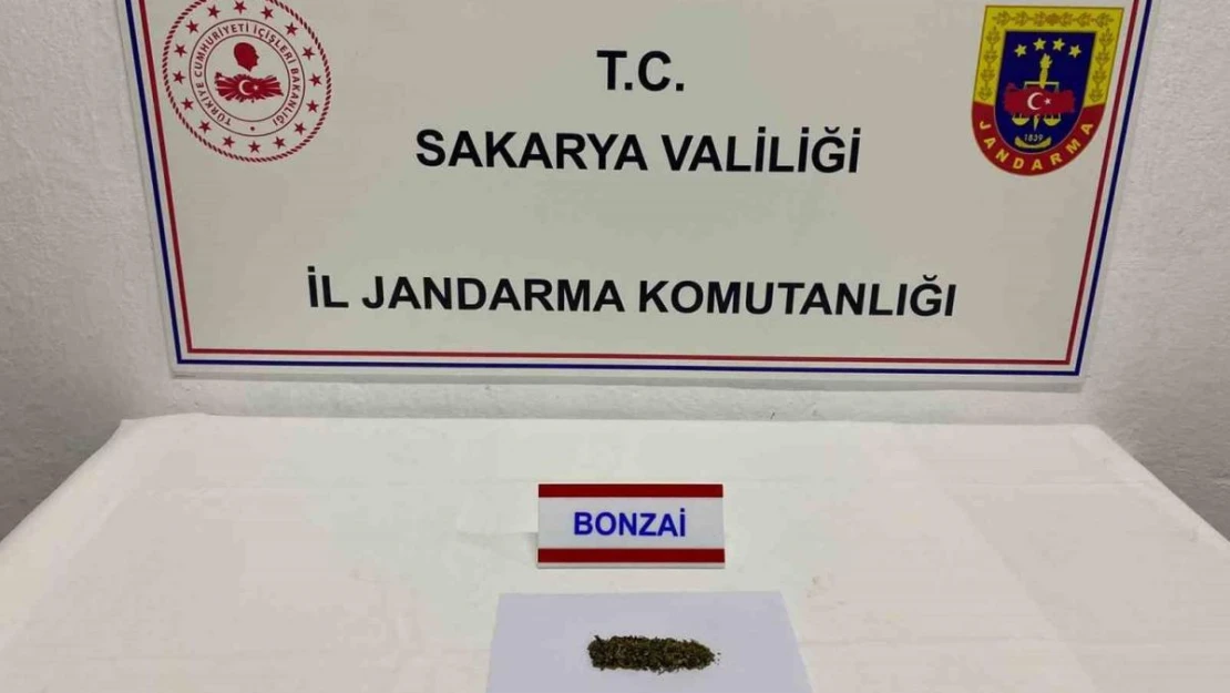 Sakarya'da jandarma ekiplerince 2 günde 12 şüpheli yakalandı