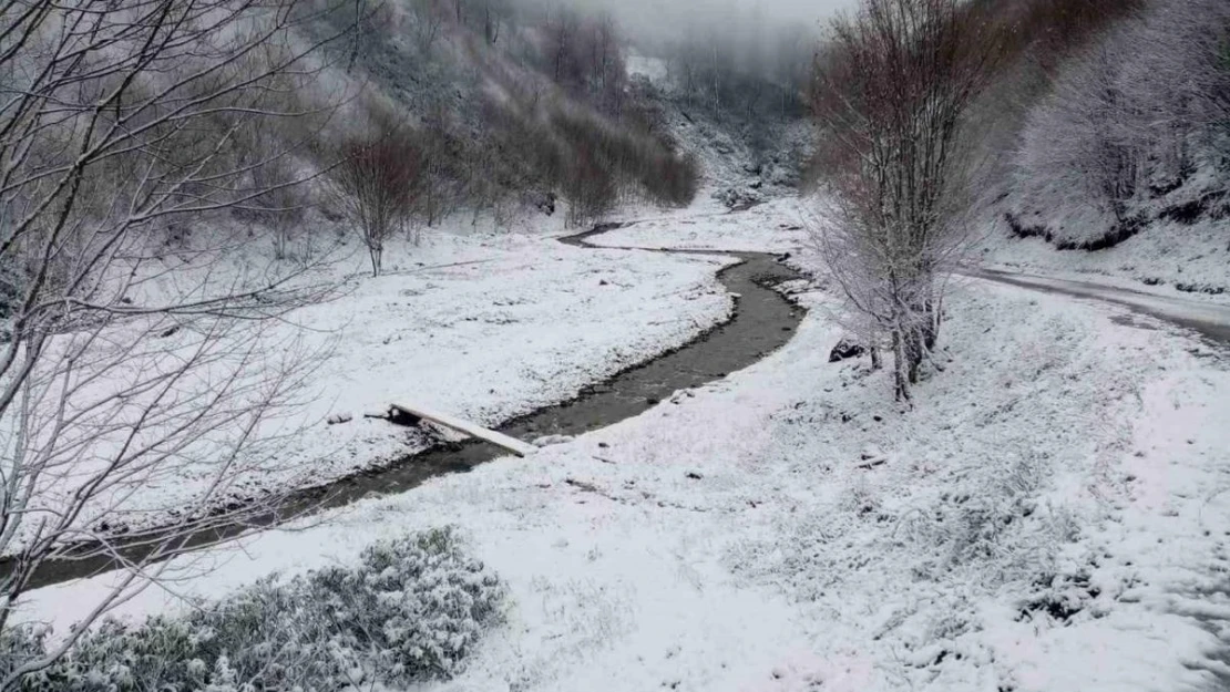 Sakarya'nın yüksek kesimleri beyaza büründü