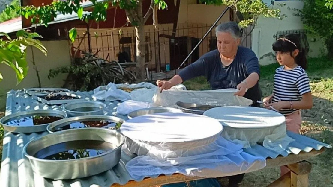 Sakin şehir Arapgir'de dut pekmezi mesaisi başladı