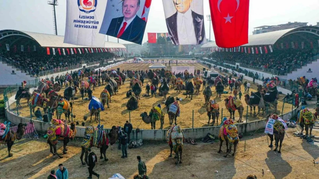 Şampiyon develer Denizli arenasına çıkıyor