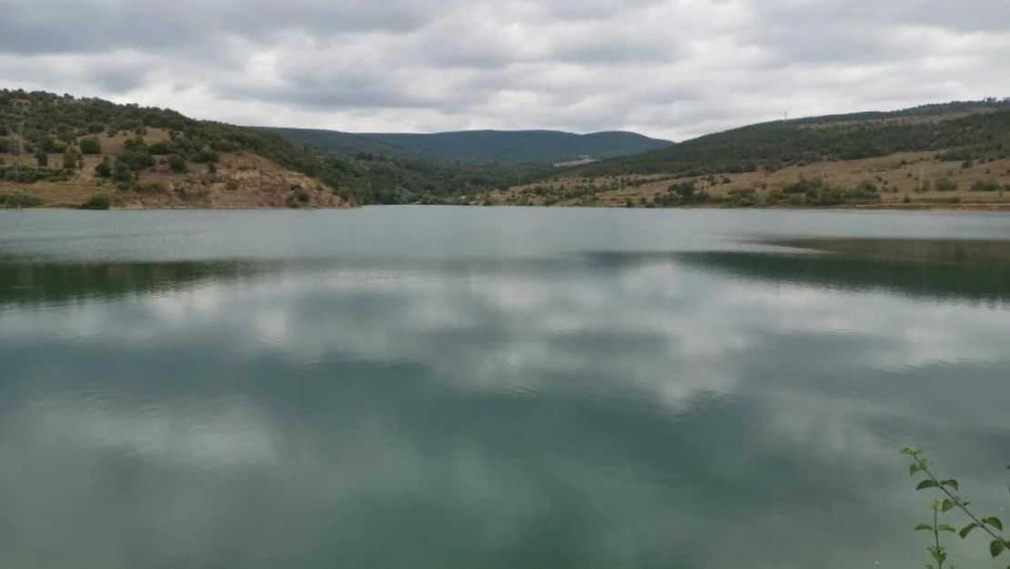 Samsun'da 5 barajın su seviyesi düştü, 3 barajın yükseldi