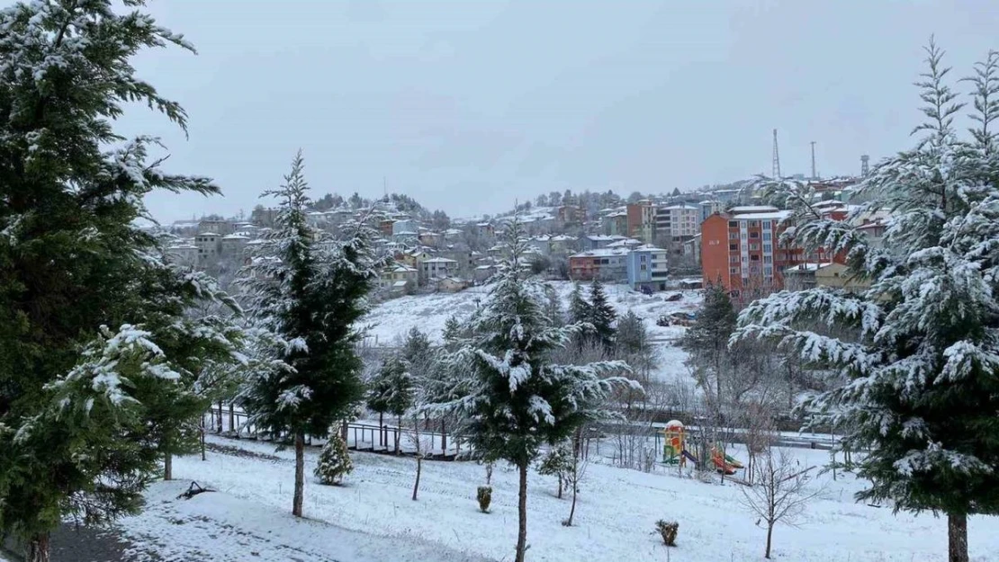 Samsun'un yüksek ilçeleri beyaza büründü