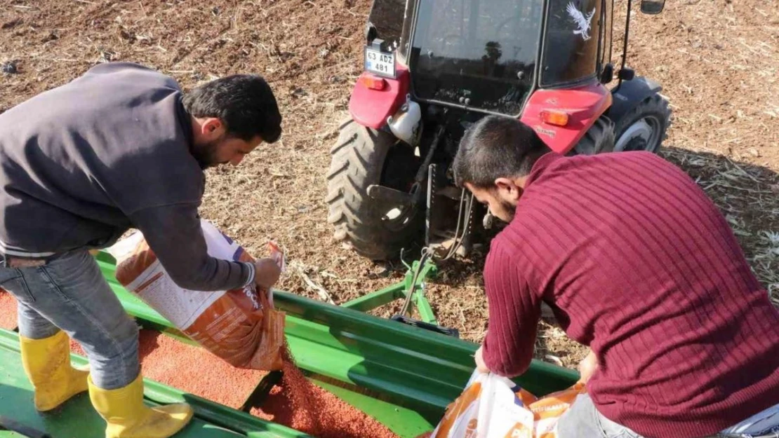 Şanlıurfa Büyükşehir Belediyesi buğday ekimine başladı