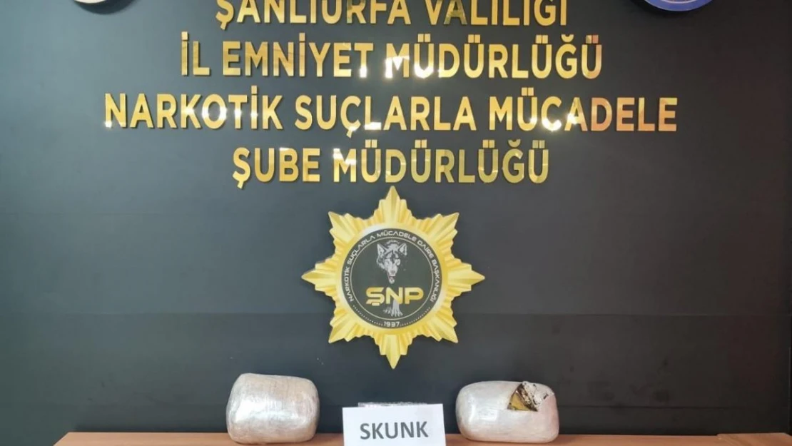 Şanlıurfa'da 4 kilogram skunk ele geçirildi: 1 gözaltı