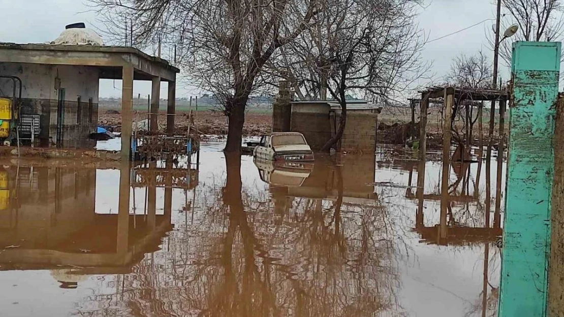 Şanlıurfa'da kırsal mahalleler sel suları altında kaldı