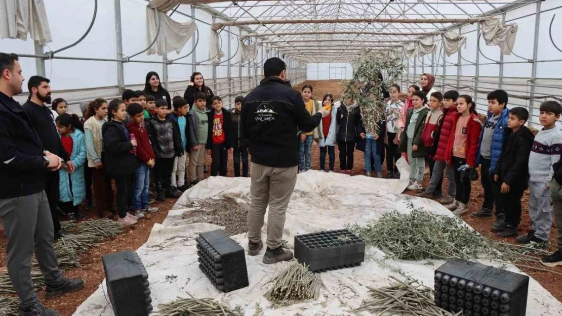 Şanlıurfa'da öğrenciler tarımla buluşturuldu