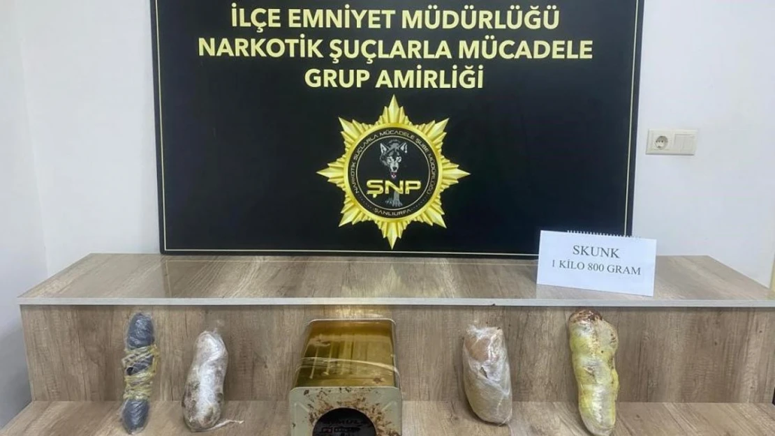 Şanlıurfa'da turşu tenekesine gizlenmiş 1 kilo 800 gram skunk ele geçirildi